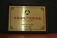 B1、中國(guó)房地產(chǎn)誠(chéng)信企業(yè)2005—2006年